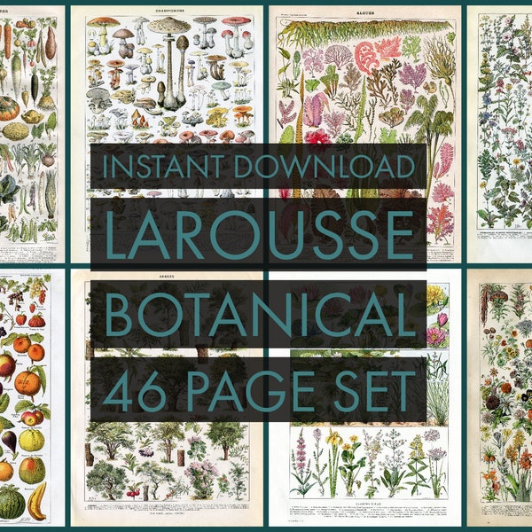 INSTANT DOWNLOAD 46 Page Set Larousse Botanical Medicinal Plants Exceptional Quality Fruit Vegetables Seaweed Trees Mushrooms and more