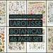 see more listings in the LAROUSSE DOWNLOADS section