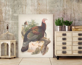 INSTANT DOWNLOAD Wild Turkey Thanksgiving Turkey Male and Female Poster Print Fall Table Decor Game Bird Poster Cabin Decor