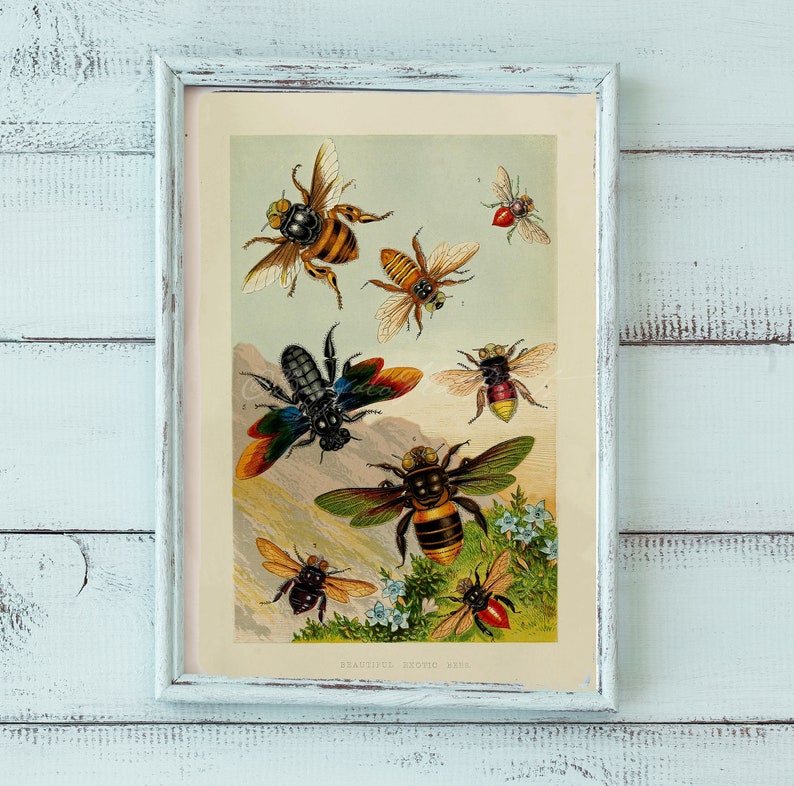 Apiary Honey Bees Insects Making Honey Skep Hive Poster Print Larousse