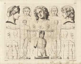 INSTANT DOWNLOAD Human Anatomy Drawings Medical Art Faces Female Torso Artist Supplies Poster Print