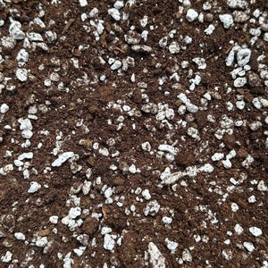 Bog Soil Mix - Soil For Venus Flytraps, Sundews, Sarracenia, and Other Carnivorous Plants