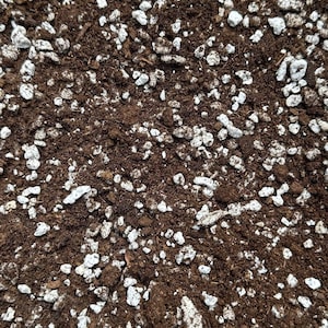 Bog Soil Mix - Soil For Venus Flytraps, Sundews, Sarracenia, and Other Carnivorous Plants