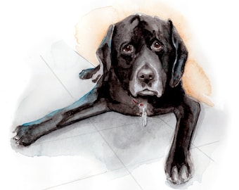 Custom Pet Illustration