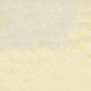 May include: A plain, off-white background with a subtle, textured pattern.