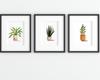 Set of three houseplants prints - potted plants home kitchen nature succulents unframed