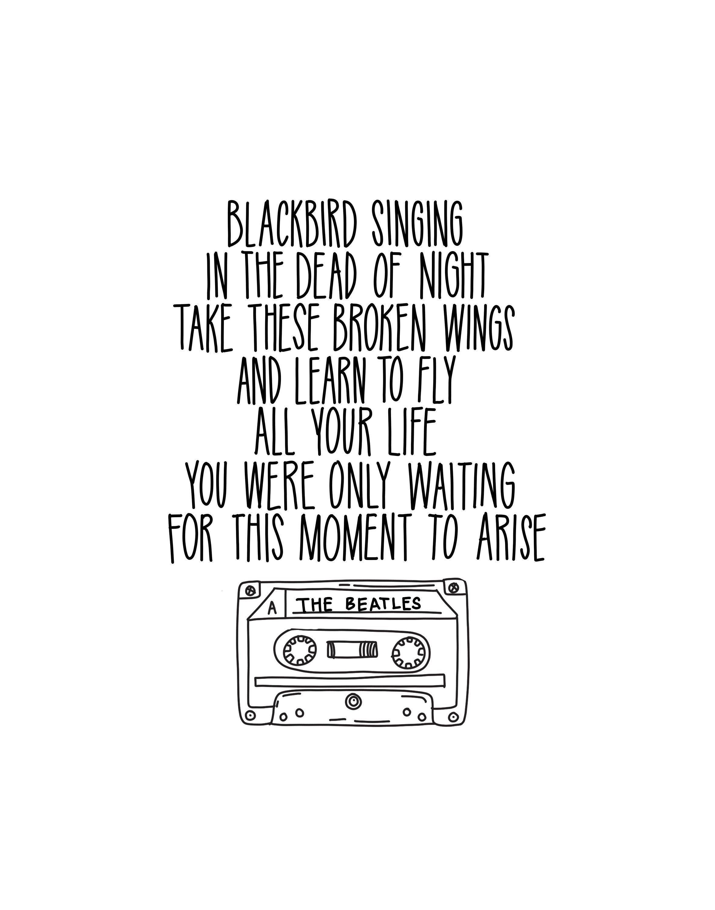 Blackbird Lyrics Quote T-Shirt Blackbird Lyrics Quote T-Shirt