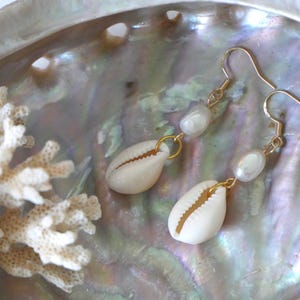 May include: Gold-coloured earrings with white cowrie shells and small, white pearls. The earrings are presented on a pearlescent surface with a coral branch. The earrings have a hook closure.