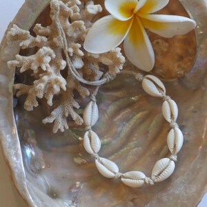 May include: A seashell bracelet sits within a large, iridescent seashell. A piece of coral and a white and yellow plumeria flower are also in the shell, creating a tropical theme. The bracelet is made of small, white seashells.