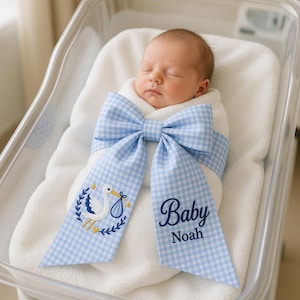 May include: A newborn baby wrapped in a soft white blanket, secured with a large blue and white gingham bow. The bow features an embroidered stork design and the name "Baby Noah". The baby is in a clear bassinet.