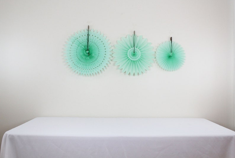 Birthday Party Decorations 6 Tissue Paper Fans Decor Kit Etsy
