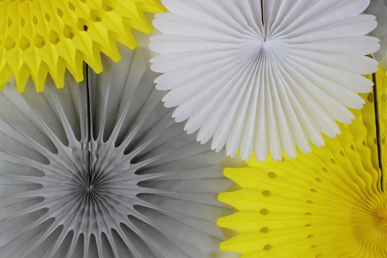 Birthday Party Decorations 6 Tissue Paper Fans Decor Kit Etsy
