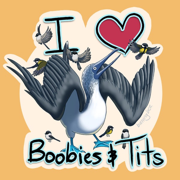 WATERPROOF I <3 Boobies and Tits Sticker - Funny Sticker - Blue Footed Boobies - Willow Tits - Bird Sticker