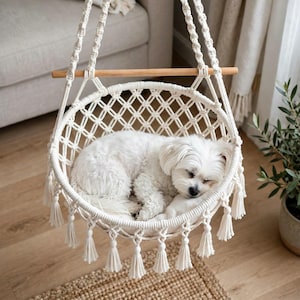 May include: A cream-colored macrame hanging pet bed featuring a circular woven design with a wooden support bar at the top and decorative tassels along the bottom edge. A small white dog is curled up sleeping inside the hanging basket.
