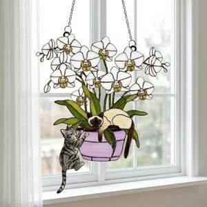Puede incluir: Jardinera colgante de vidrieras con orqu&iacute;deas blancas, hojas verdes y dos gatos. Un gato trepa por la maceta lavanda, el otro descansa dentro. La jardinera cuelga de una cadena frente a una ventana.