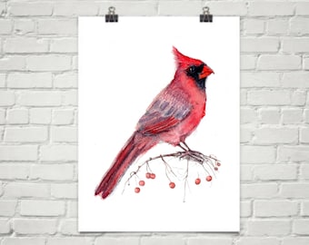 Red Cardinal Watercolor Painting: Winter Bird Art (5x7)