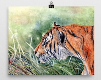 Impression d'art aquarelle tigre du Bengale : décor animalier safari jungle