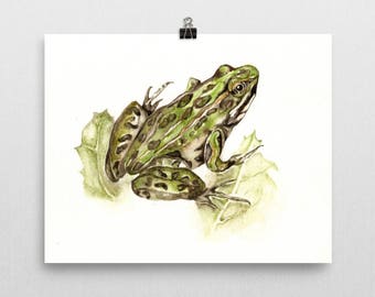 Northern Leopard Frog - Fine Art Print of original watercolor painting - nature toad animal frogs bathroom decor green animals green nature