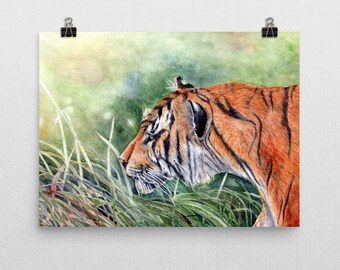 Impression aquarelle tigre du Bengale : art animalier safari dans la jungle