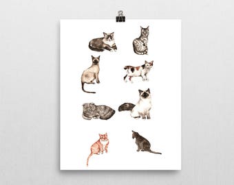 Different Cat Breeds Art Print of Watercolor Painting - Wall Art Decor - Siamese watercolor cat