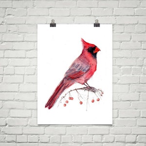 Cardinal - impression d'art de la peinture à l'aquarelle - nouvel an hiver vacances oiseaux nature oiseau nouvel an Noël baies violettes hiver cartes