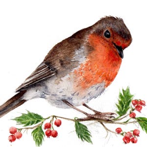 Europäische Robin - Art Druck der Aquarell - Vogel neue Jahre Weihnachten lila Winter Karten Stechpalme Beeren