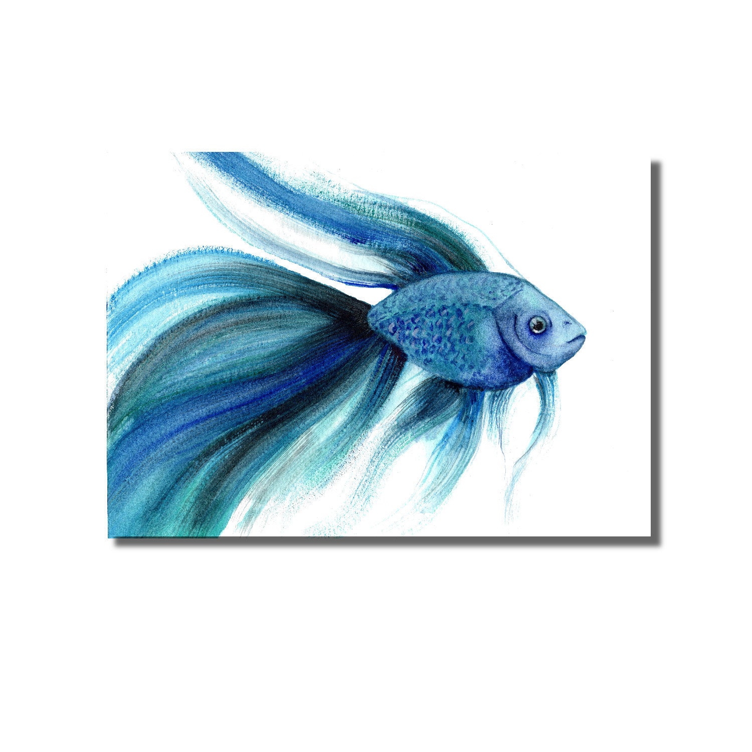 Painting Watercolor Art & Collectibles Original Red Blue Betta