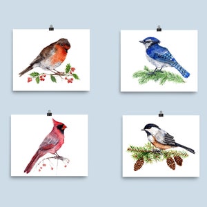 Aquarelle oiseaux de Noël jeu de 4 reproductions d’aquarelles originales - hiver vacances robin Geai bleu cardinal bluejay Mésange