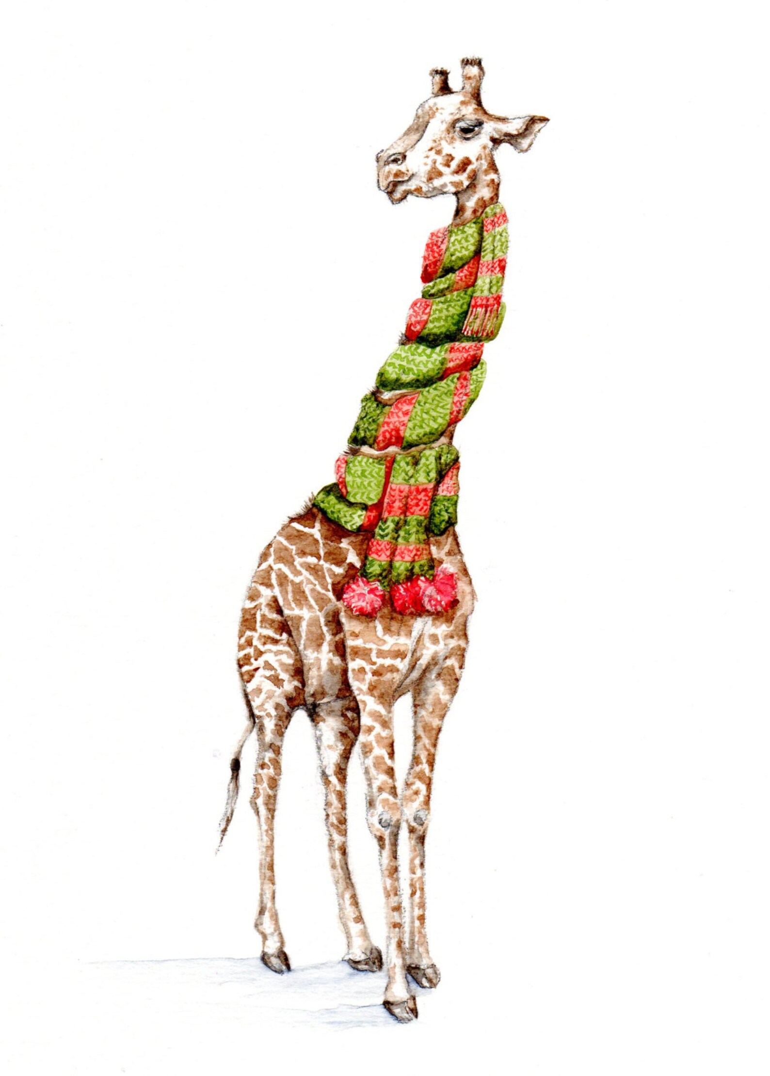 Giraffe in a Scarf Art Print of Watercolor Painting Animals Whimsical