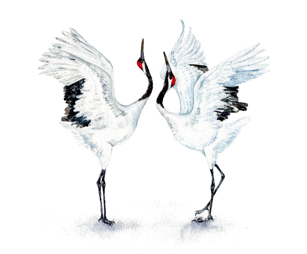 優先配送 Dancing Bird #001 絵画 - 絵画