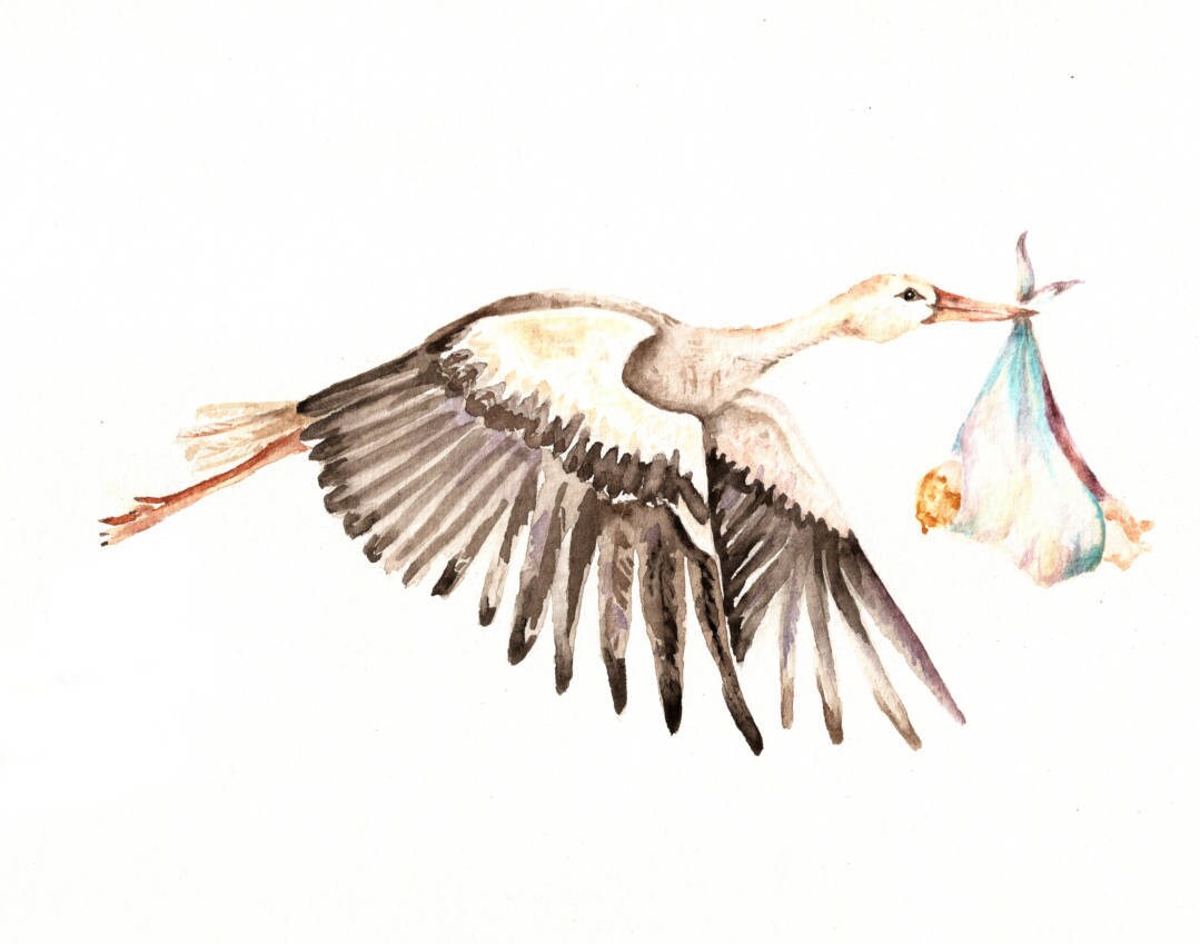 鳥の上の赤ちゃん - 生まれたばかりの赤ちゃんを運ぶコウノトリ