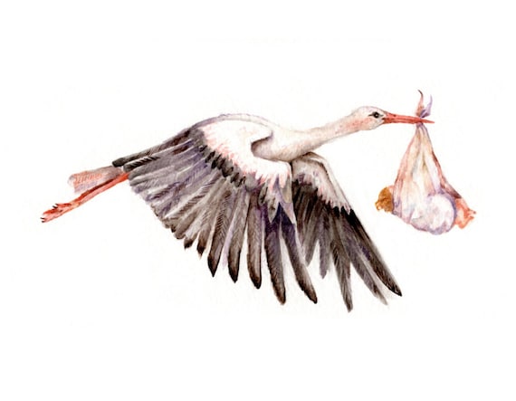 Bebe Sur La Cigogne Tirage Dart De Peinture Aquarelle Etsy Bebe Sur La Cigogne Tirage Dart De Peinture Aquarelle Etsy