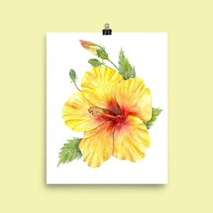Gelbe Hibiskus Blume Botanischer Kunstdruck von Aquarellmalerei Cottage Dekor tropische botanische Kunst Pflanzen Natur Bild 1