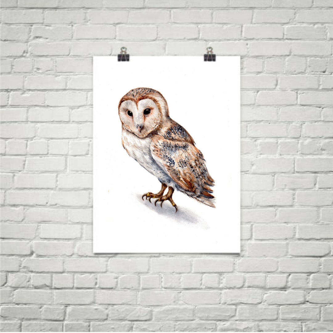Barn Owl - Original Watercolor Painting 8x10 - Bird Wall Art Decor - Etsy