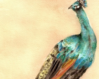 Pretty Peacock-aquarelkunstafdruk: groen en blauw vogelportret