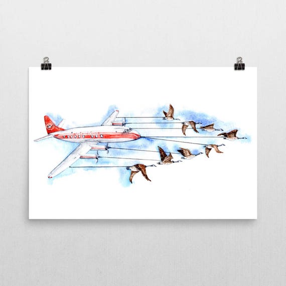 Ganso de Canadá avión llevado por gansos de Canadá Art | Etsy México