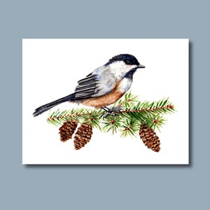 Mésange à tête noire - aquarelle originale - 5 x 7 pouces (5 x 7 pouces) art oiseau 5 x 7 nouvel an Noël hiver vacances épinette pin hiver cartes