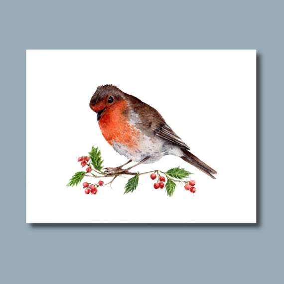 Rotkehlchen Art Print: Aquarell Vogel mit Beeren der Stechpalme - Etsy  Schweiz