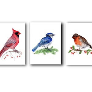 Watercolor Christmas Birds Set of 3 Art Prints of Original Watercolor Paintings - Winter holidays robin blue jay cardinal bluejay native
