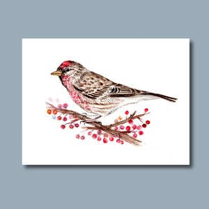 Taille de l'année - Impression d'art de la peinture à l'aquarelle - Cartes d'hiver de Noël, vacances d'hiver, oiseaux, oiseau de la nature, nouvel an, Noël, baies violettes