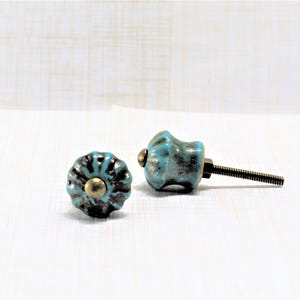 May include: Two decorative cabinet knobs with a distressed turquoise finish. One knob is round with a floral design, and the other is a more organic shape. Both have brass-colored accents and threaded posts.