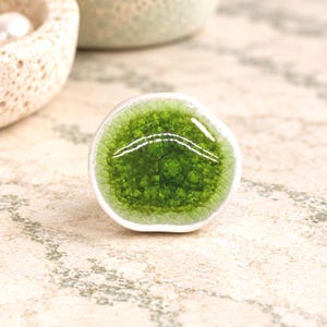 May include: A small, rounded ceramic button featuring a vibrant, glossy green center with a distinct crackle glaze texture, surrounded by a smooth, opaque white border. The surface has a reflective, glass-like finish with visible depth.