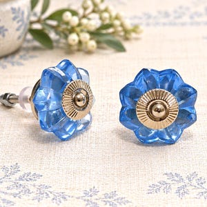 Scallop Glass knob, Blue drawer pull, Melon floral furniture hardware