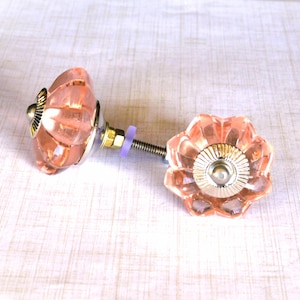 May include: Two decorative cabinet knobs with a flower-like design. The knobs are a translucent peach color with a silver and gold metal base. The hardware includes a screw and a purple washer.
