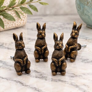 May include: A set of four bronze-toned metal cabinet knobs, each shaped like a sitting rabbit with detailed fur texture and pointed ears. The knobs feature a metallic finish with dark highlights and include a threaded metal bolt for mounting.