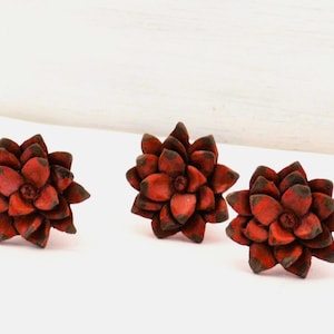 Red Flower knob, Dahlia Drawer Pull, Floral furniture handle, Ann Scott Hardware