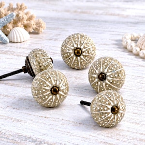 Beige Gray Urchin Seashell knob, Coastal Bathroom Drawer Pull, Beach House Hardware