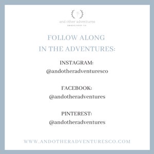 May include: A graphic with the text "and other adventures Embroidery Co." and the text "FOLLOW ALONG IN THE ADVENTURES:" followed by social media handles for Instagram, Facebook, and Pinterest. The text at the bottom of the graphic reads "WWW.ANDOTHERADVENTURESCO.COM".