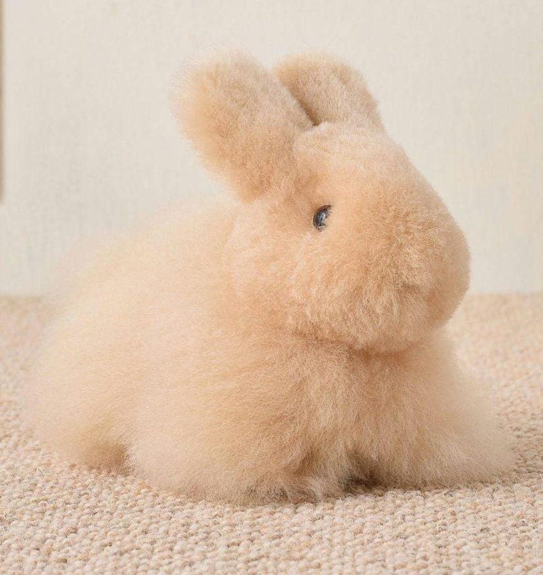 Rabbit Peruvian Gift Handmade Alpaca Fur, Fur Teddy Alpaca Peruvian ...