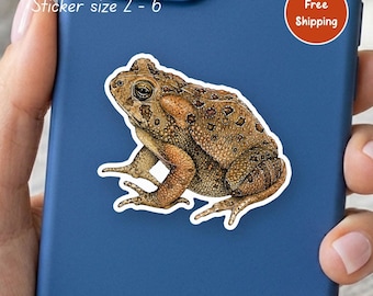 American Toad Sticker Watercolor Art Vinyl Sticker For Amphibian Lover Nature Gift Laptop Water Bottle Journal Decor Free Shipping